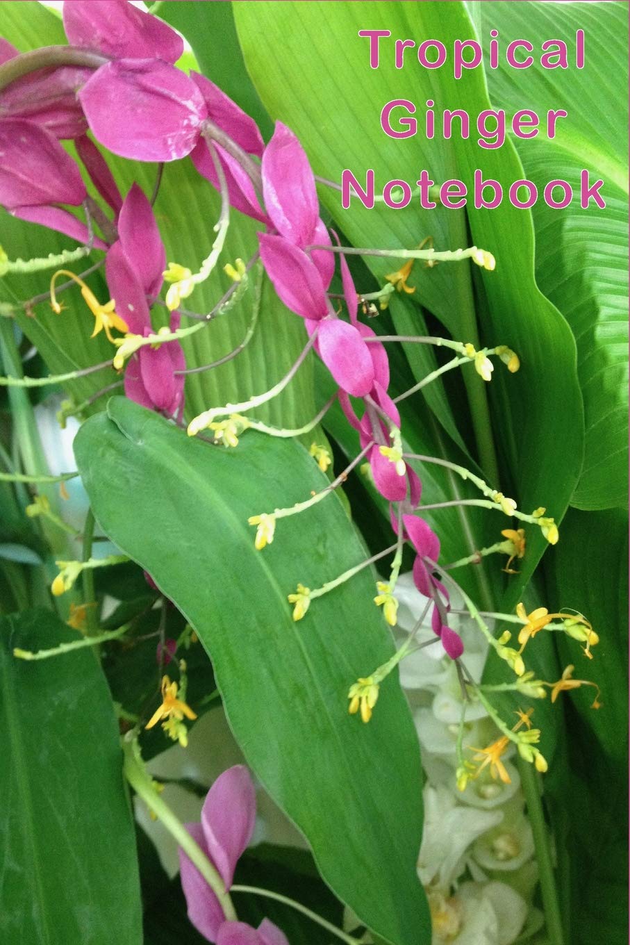 Tropical Ginger Notebook: This pretty pink cover will be easy to find on your desktop to jot down all of your precious notes. Great size for your bag while out and about.