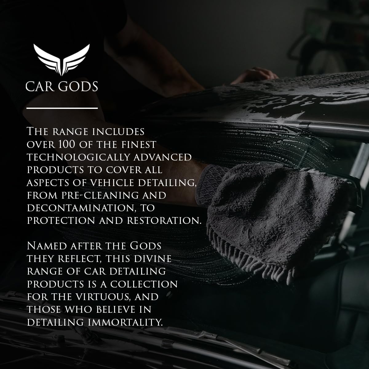 Car Gods 8 Piece Car Cleaning Detailing Kit - Shampoo - Carnauba Wax - Wheel Cleaner - Shine Detailer - Fallout Eliminator - Tyre Serum - Interior Detailer - Glass Cleaner