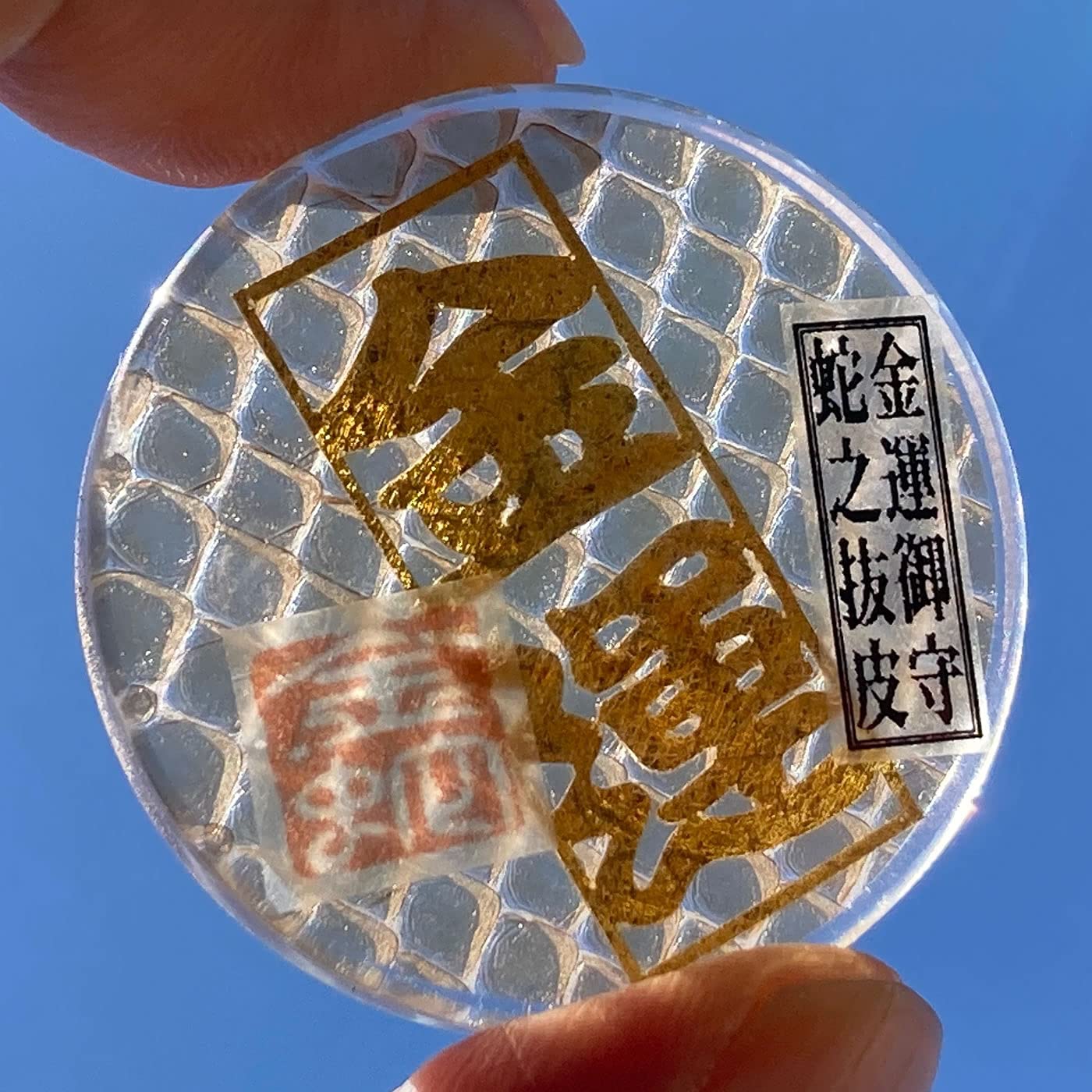 Amazon.co.jp: 本物ヘビの抜け皮 《Good Luck Pocket Token》 昔ながら