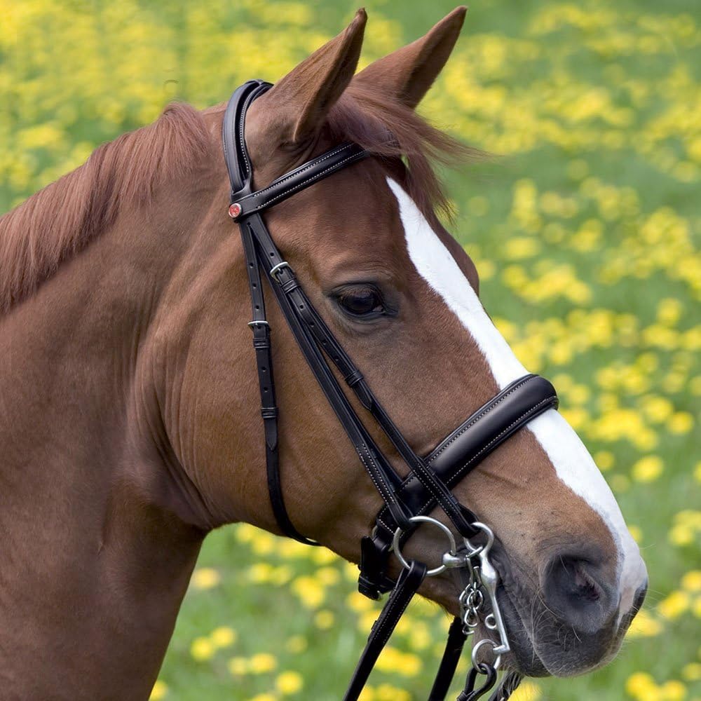 KIEFFER Double bridle ERGONOMIC LINE II