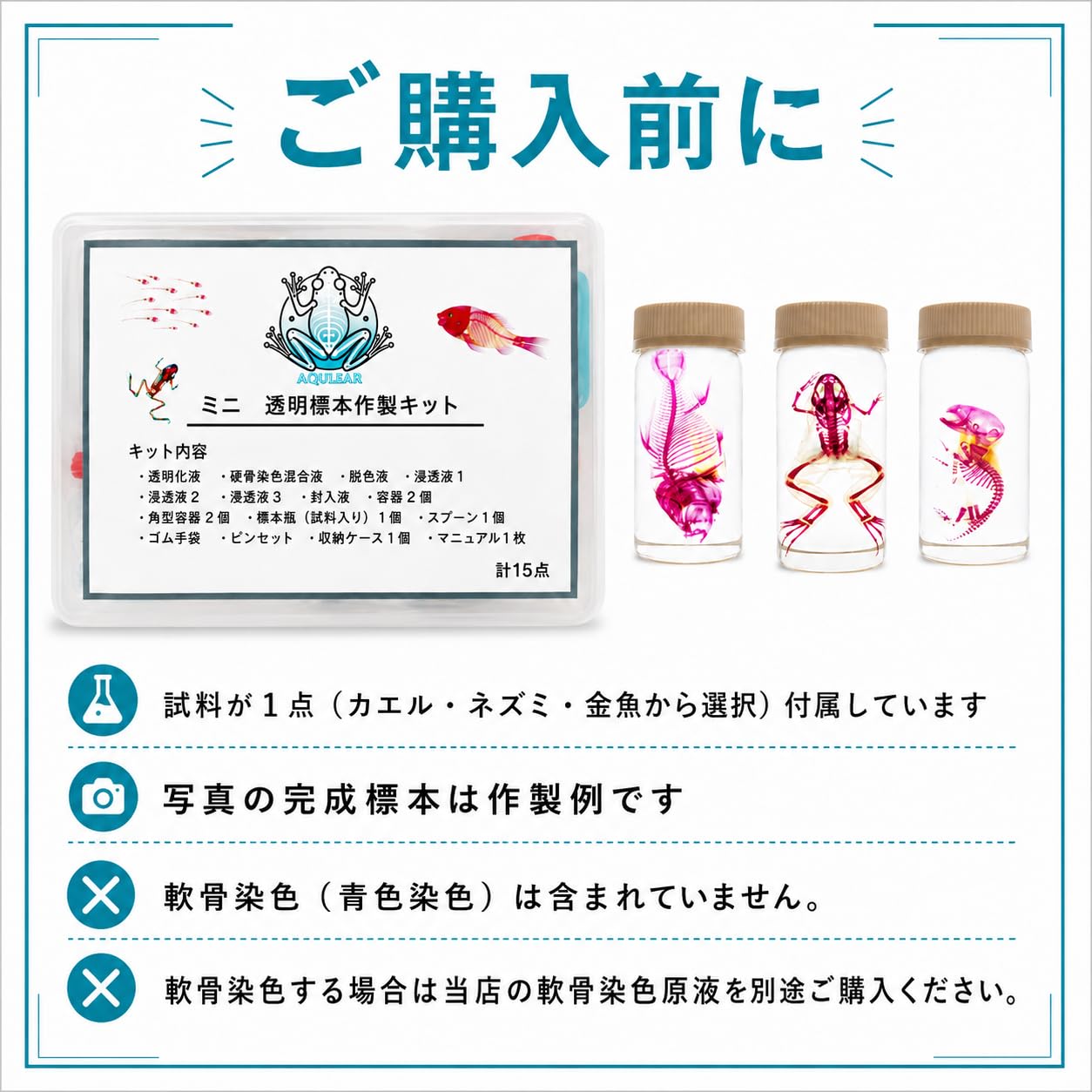 Amazon | AQULEAR ミニ透明標本作製キット 中級 全15点 カエル | 透明