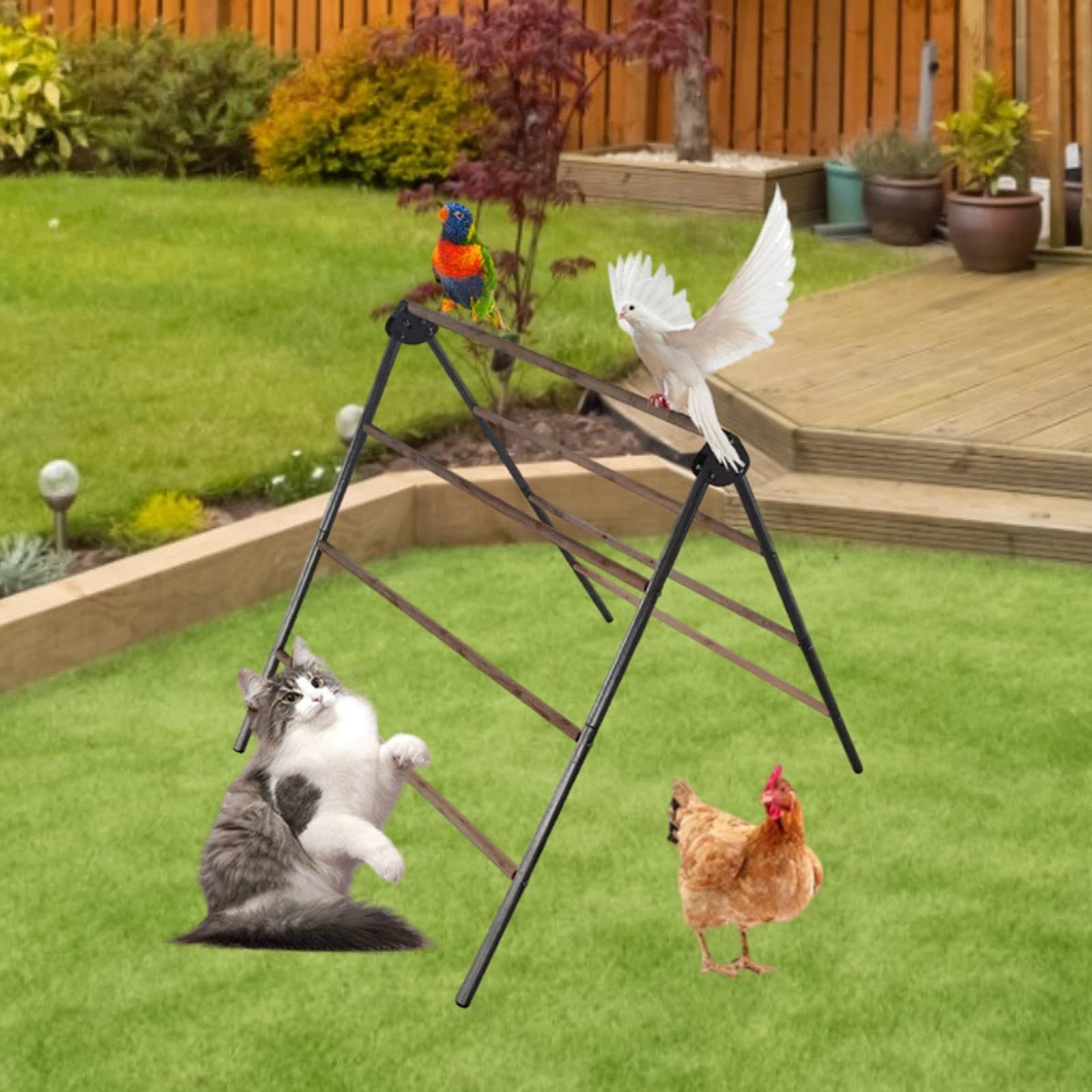Amazon | 鶏の止まり木 プレミアム スタンディング 鶏の止まり木 裏庭