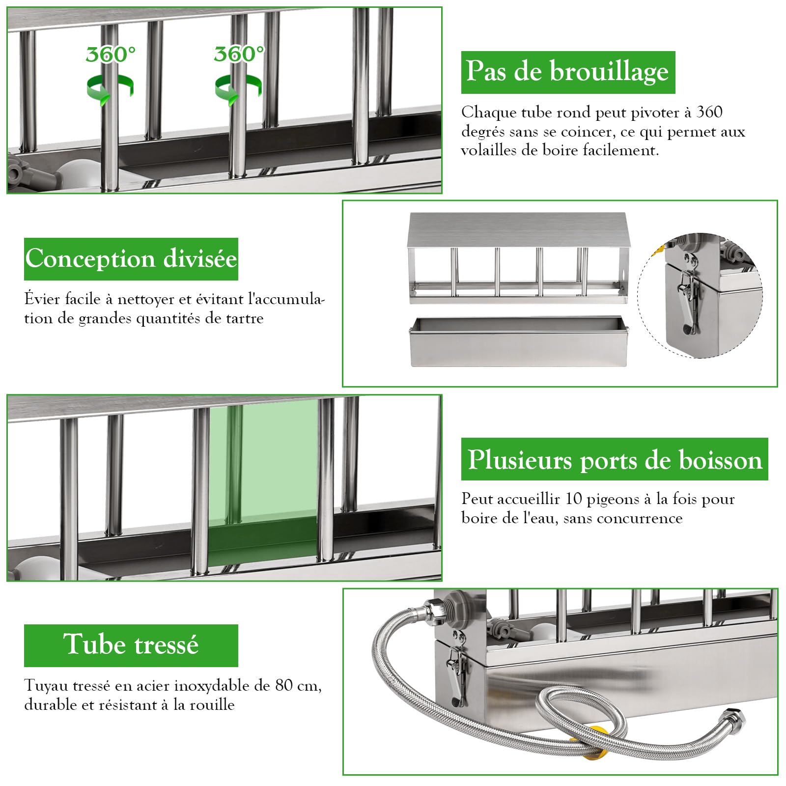 Abreuvoir automatique pour poulet en acier inoxydable grande capacité pour pigeons cailles poussins