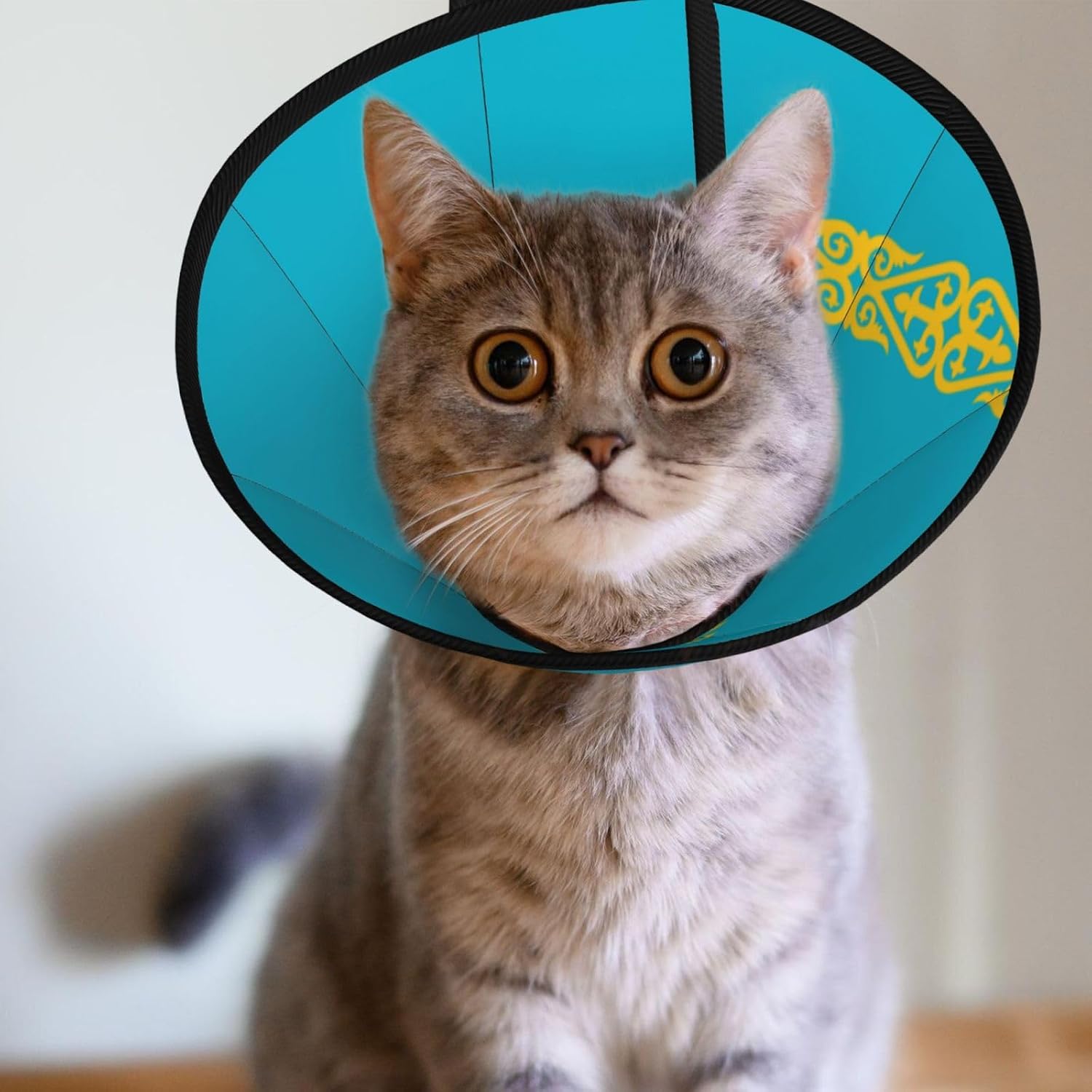 Custom Pet Cones - Unique Design Cat & Dog Cone, Collar for Post-Surgery Recovery, Adjustable Neck Flag of Kazakhstan Small