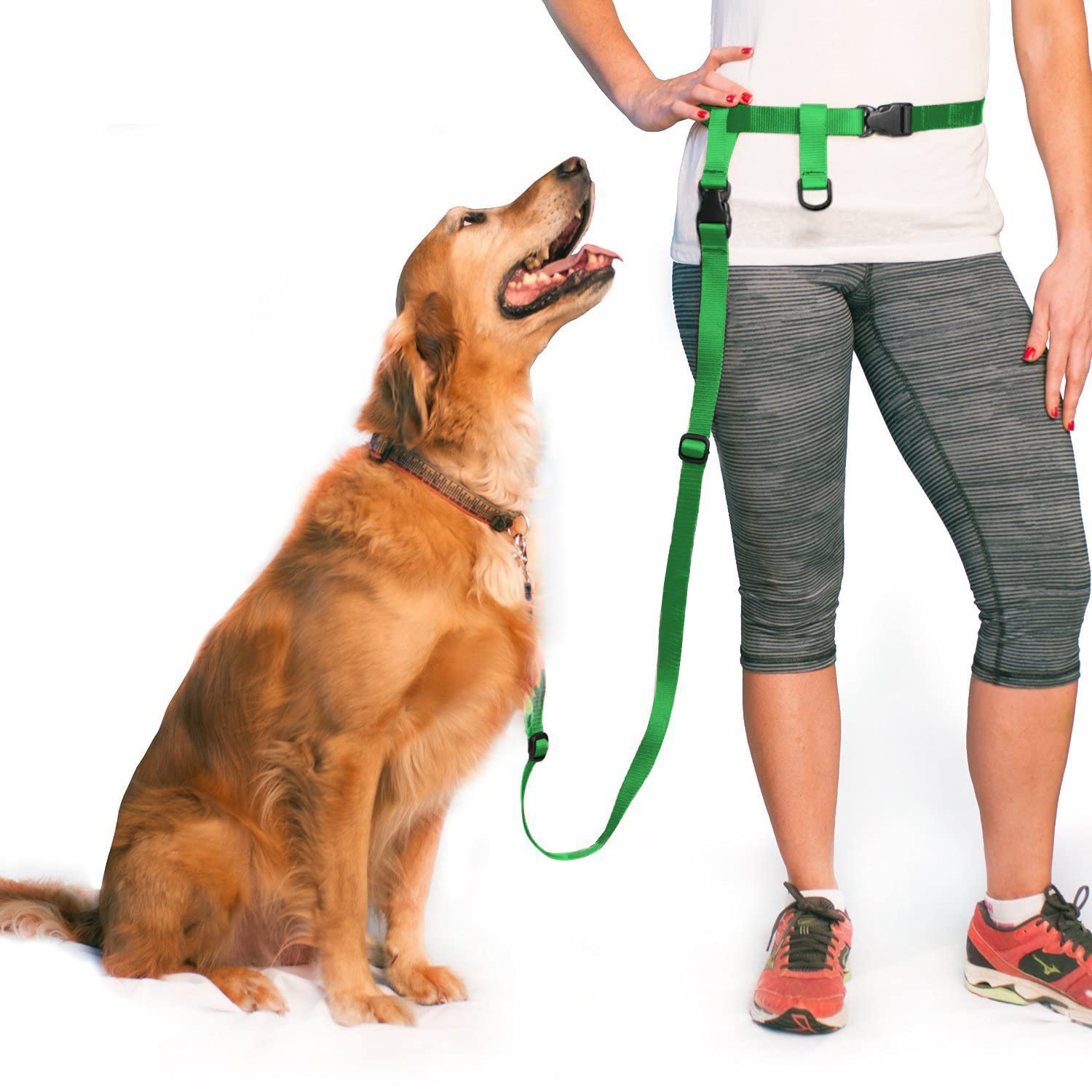 The Buddy System Adjustable Hands Free Dog Leash, Hand-Free Leash for Running, Jogging, Walking, Hiking and Training Service Dogs, Versatile All Dog Sizes - Made in USA - Regular, Green