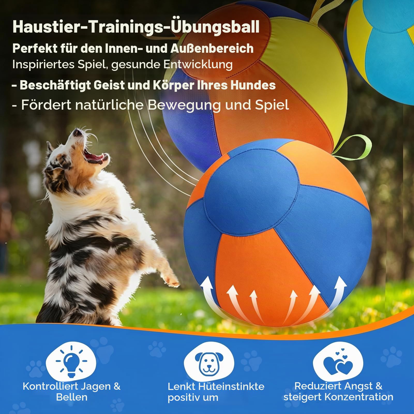 Hüteball für Mittelgroße und Große Hunde Aufblasbarer Hundeball Interaktives Spielzeug Selbstunterhaltender Trainingsball für Australian Shepherd Border Collie (Blau-Orange, 55cm)