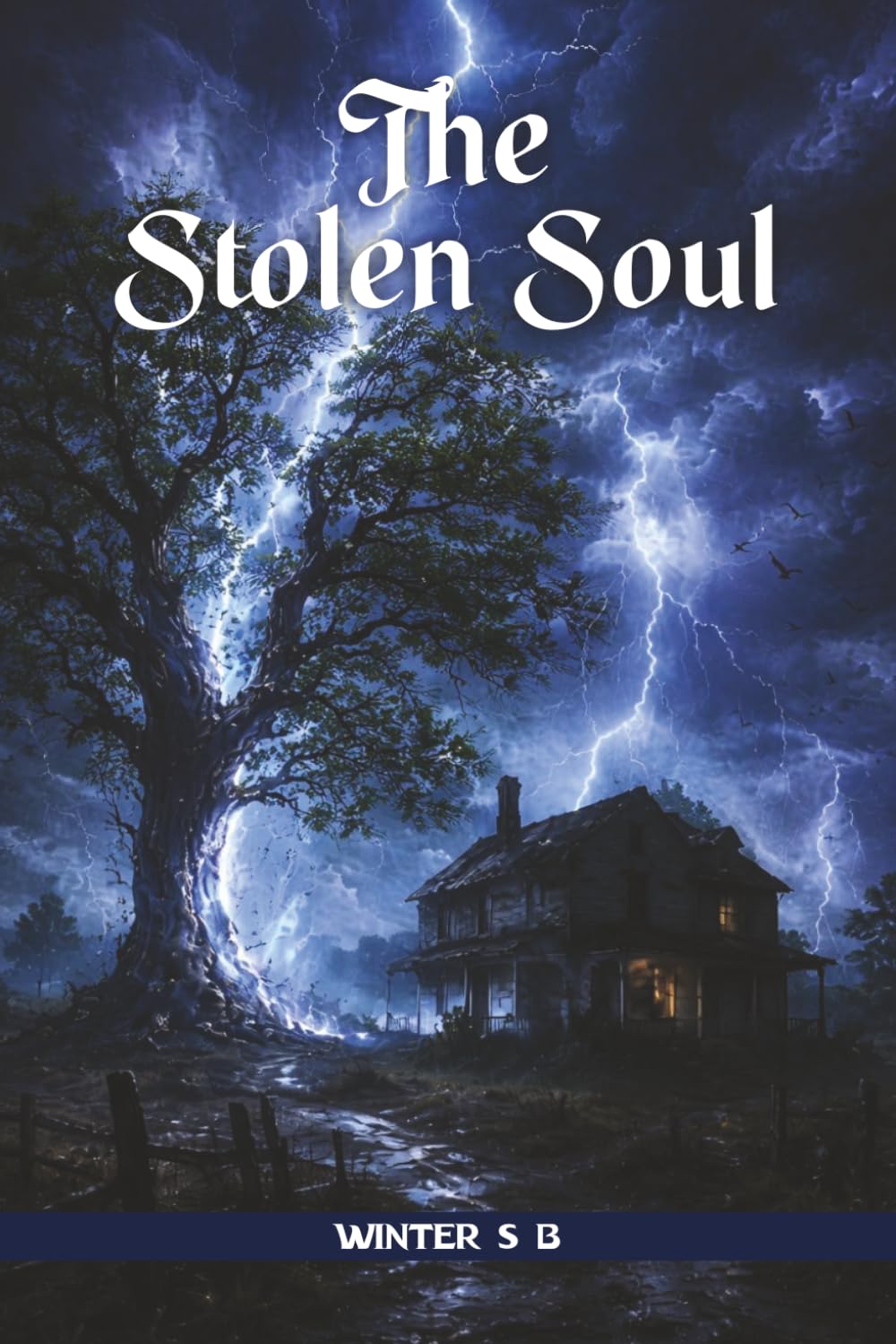 The Stolen Soul