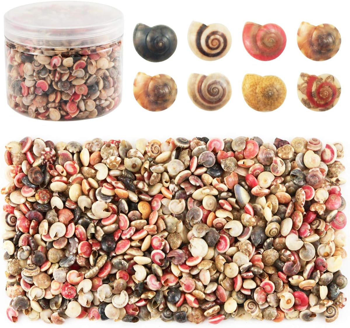 500pcs Tiny Sea Shells Mixed Ocean Beach Conch Craft Charms for Home Decorations, Beach Theme Party, Candle Making, DIY Crafts, Fish Tank and Vase Filler(6-8mm)