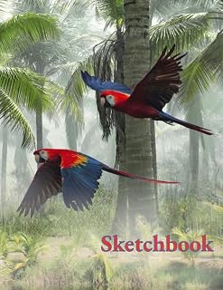 Sketchbook: Colorful Flying Parrots in Rain Forest- Dimensions: 8.5" x 11" Blank Paper 120 Pages (60 sheets)