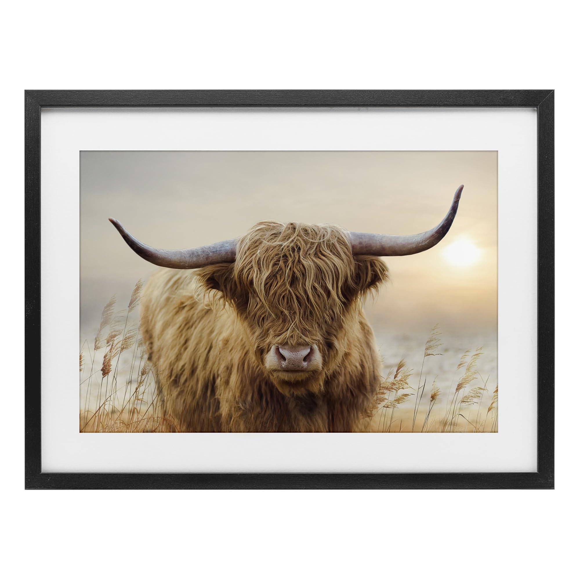 'Highland Cow & Warm Sunset'| Framed Print Under Glass