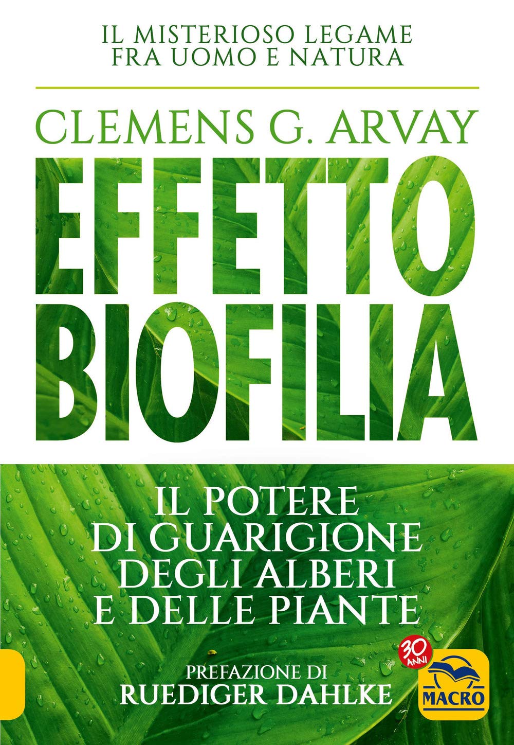 Effetto Biofilia. Il Potere Di Guarigione Degli Alberi E Delle Piante - 4