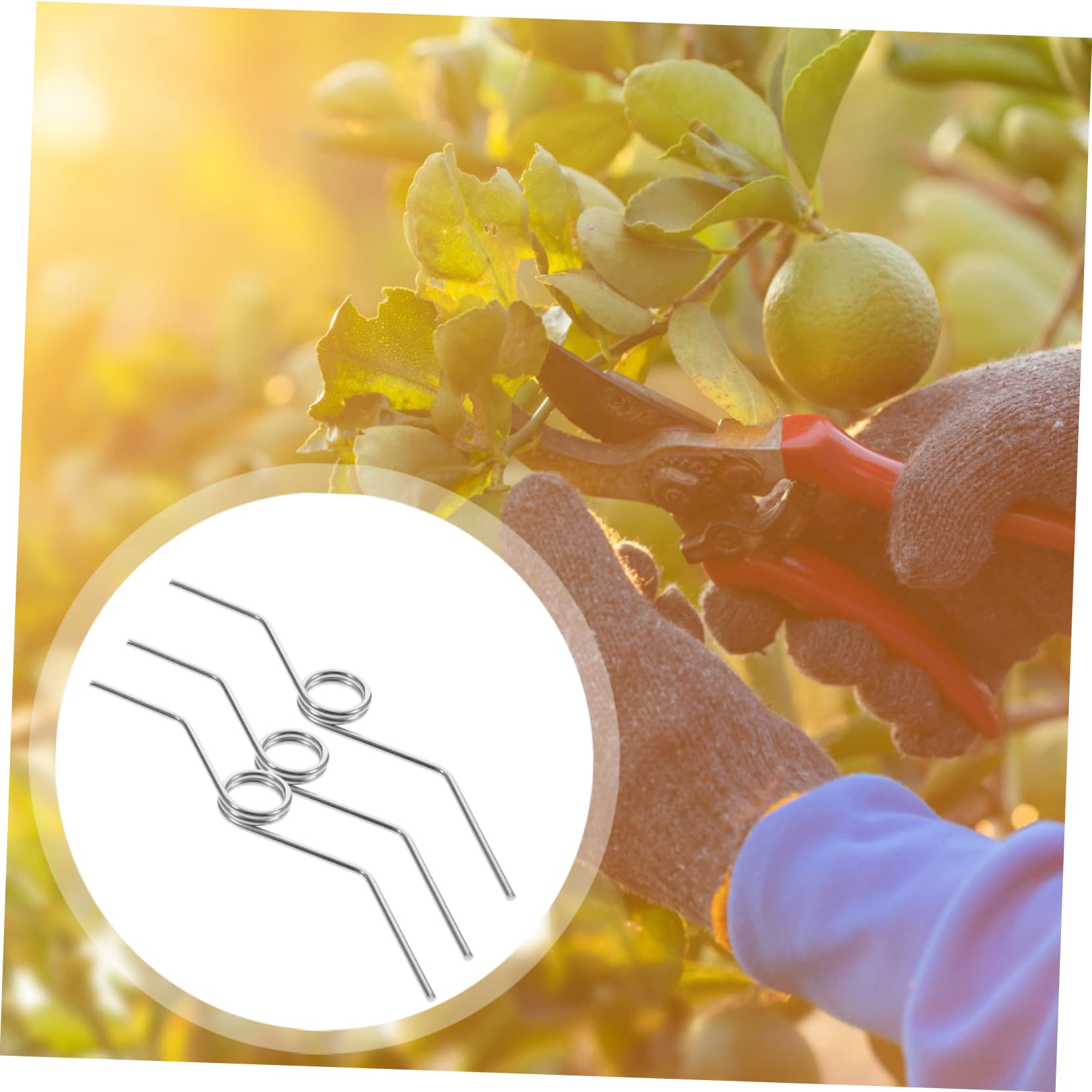 Lame De Rechange Pour Sécateur De Jardin À Crémaillère - Ressort - Accessoire De Montage Lame Et