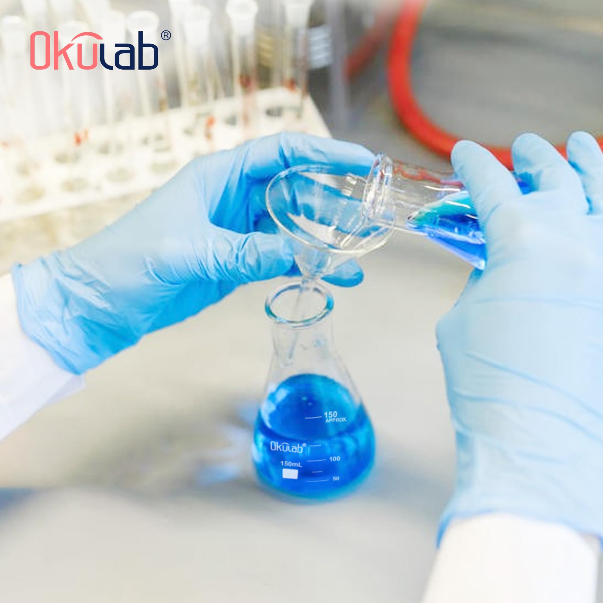 Erlenmeyer Glasflaschen Set bestehend aus Vol.50.150.250.500.1000 ml Borosilikatglas 3.3 mit aufgedruckter Skala EFNGS5A1