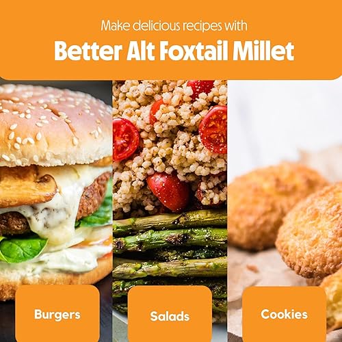 Miniatura 4 de Incept 3 libras de grano de mijo, mijo de cola de zorro descascarada, grano integral, semillas de mijo veganas sin gluten, superalimento, alto en