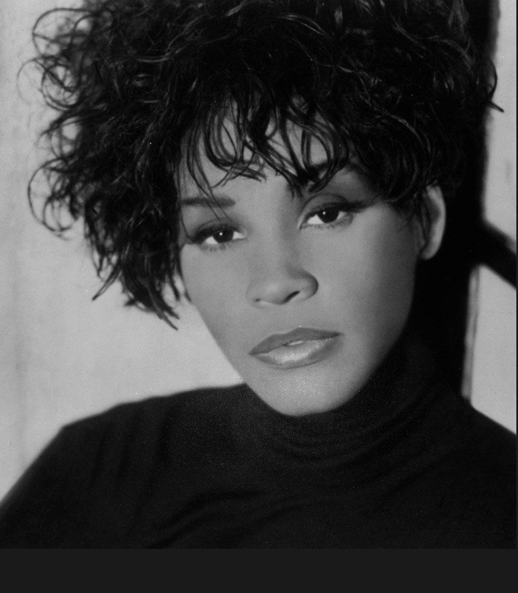 bribase shop Whitney Houston Poster 16 inch x 13 inch