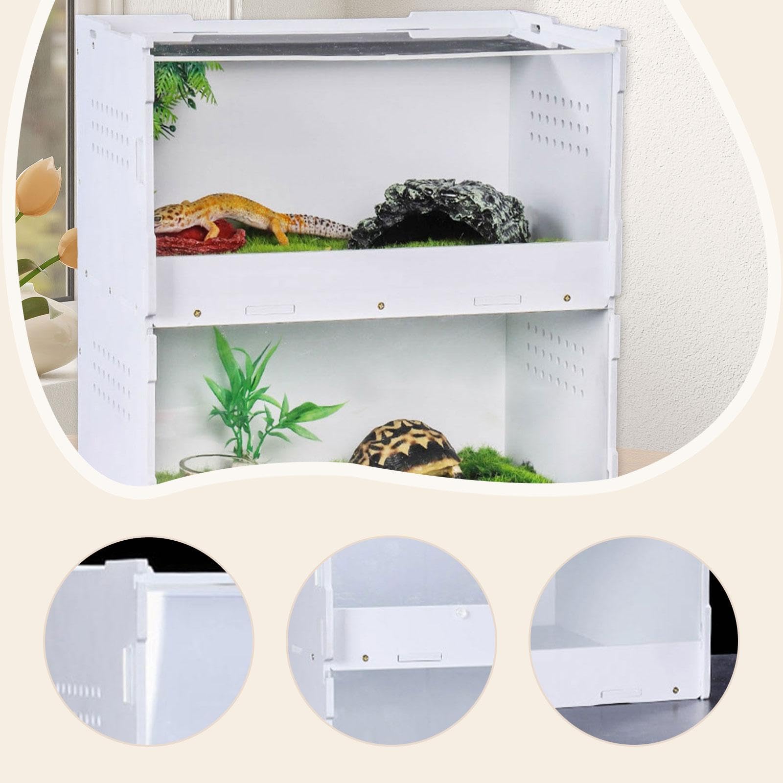 Caja de Alimentación para Reptiles, Terrario para Reptiles, Kit de Inicio para Arañas Y Geckos, L