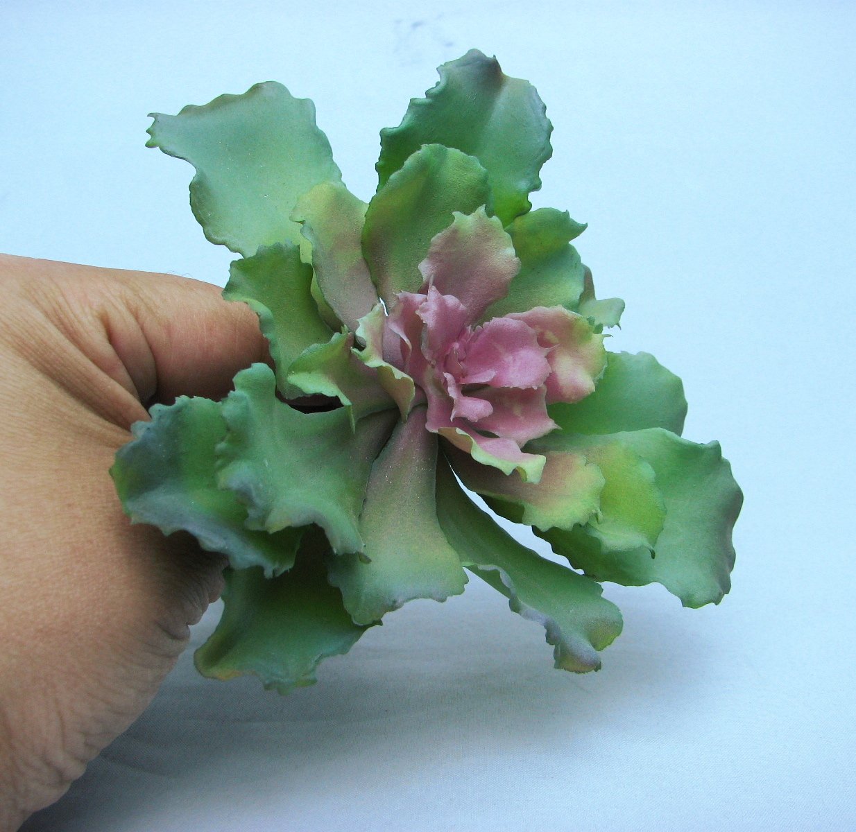 green leaves Amazon.co.jp: Green Field Project [Species/Fixed Species] Rocket