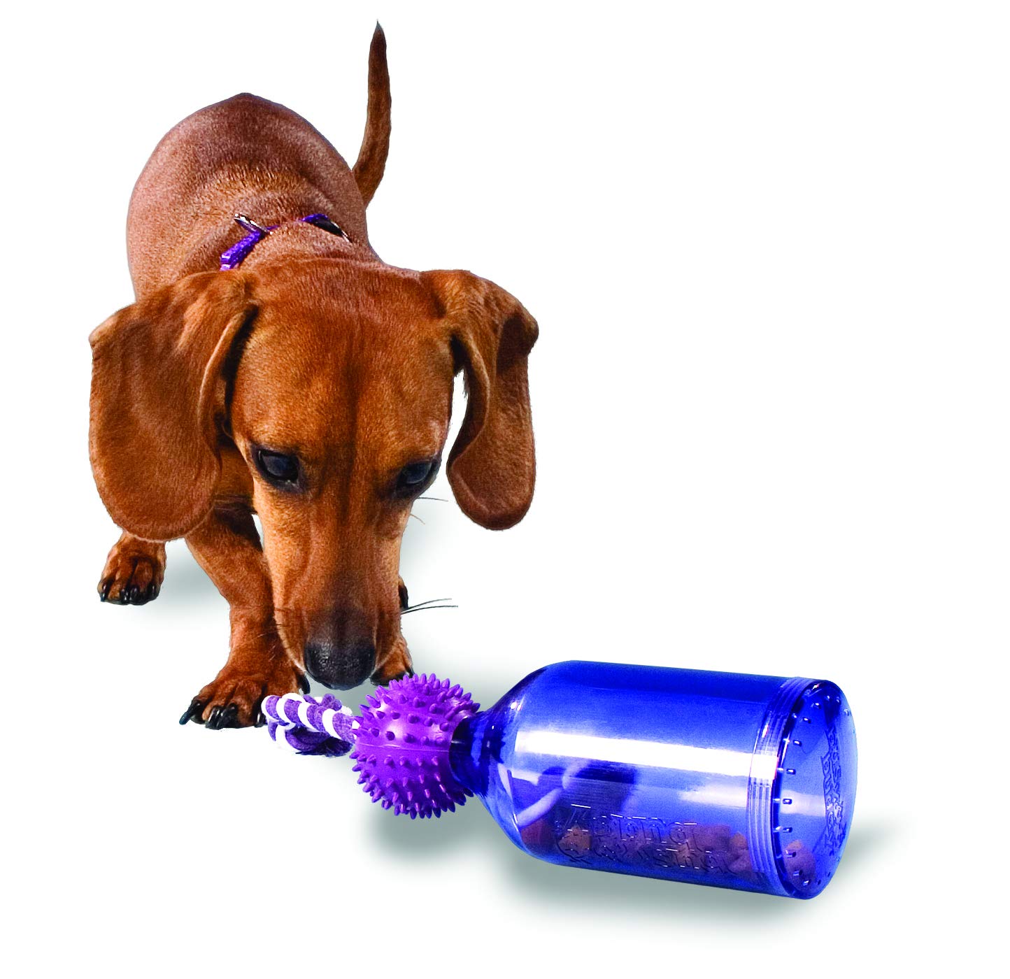 PetSafe Busy Buddy Tug-A-Jug Meal-Dispensing Dog Toy Use with Kibble or Treats,Purple