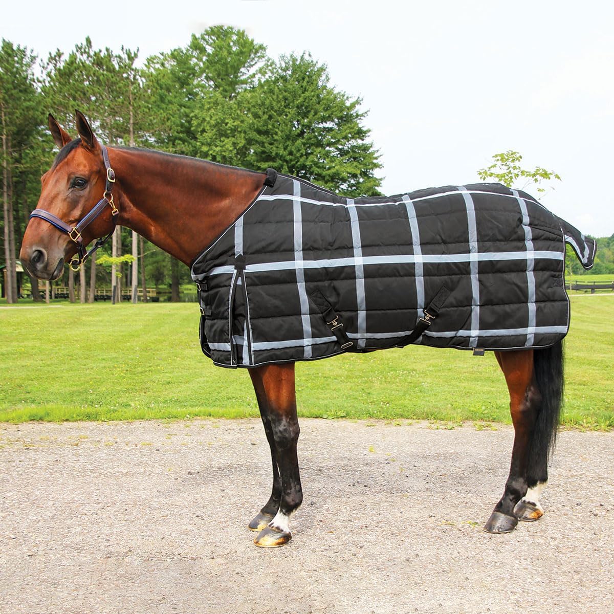 Country Pride Highland 1200D Lightweight Stable Blanket (76, Tan Plaid)