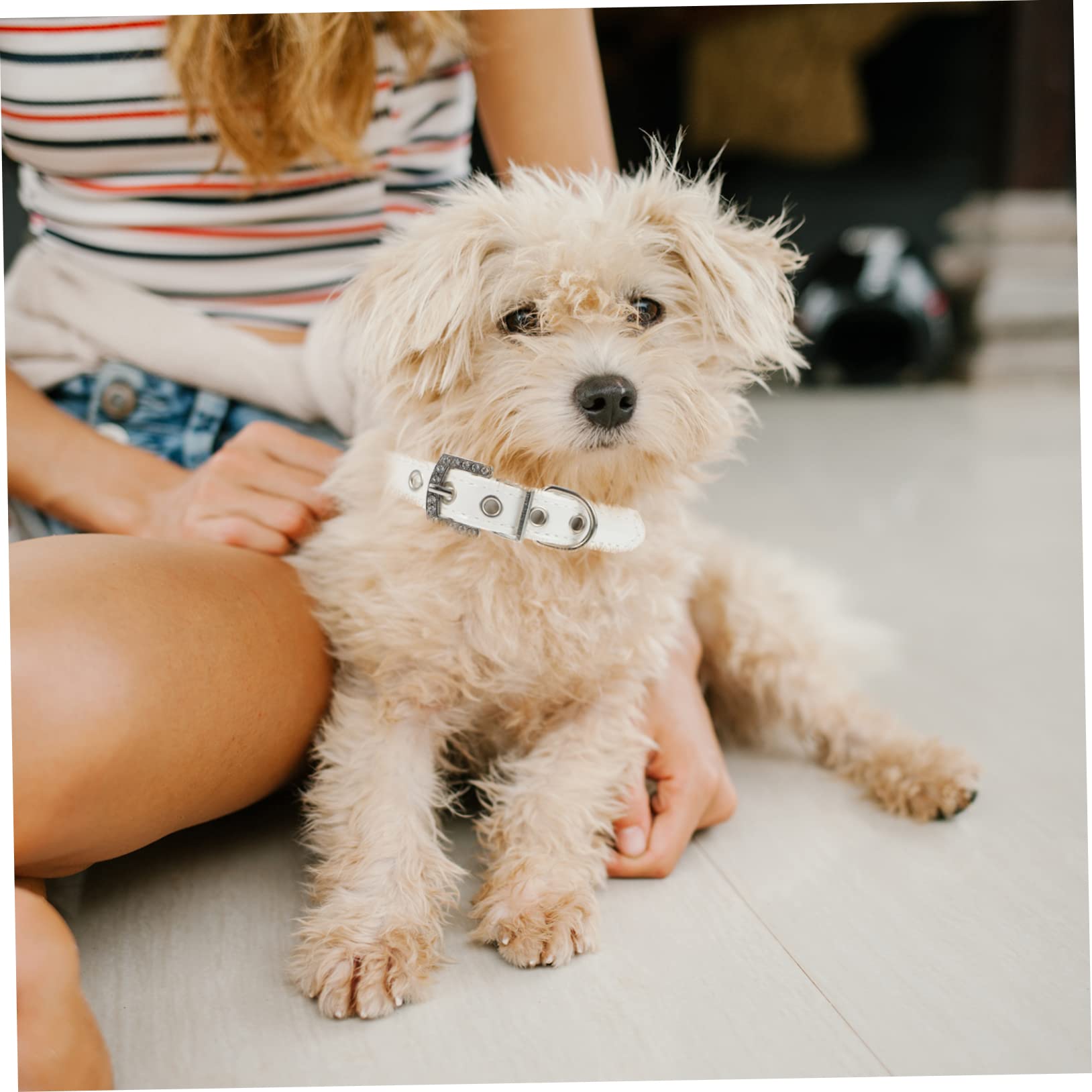 SUPVOX 4pezzi Collare e Guinzaglio Regolabili Per Cani Set Collare Perle Per Cuccioli e Guinzaglio Per Passeggiate e Occasioni Speciali