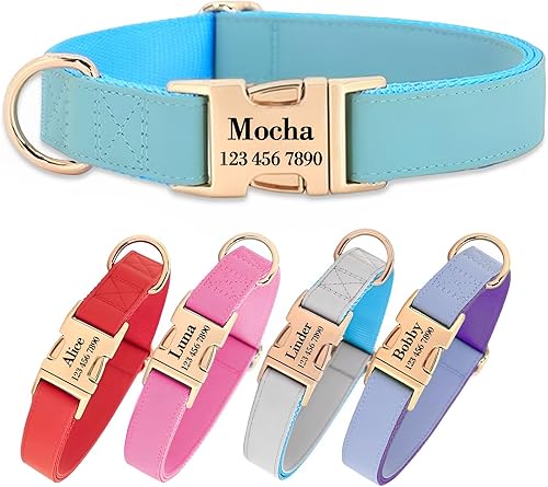 Collar de perro personalizado con nombres y número de teléfono grabado, personalizado para mascotas pequeñas, medianas y grandes, etiquetas para