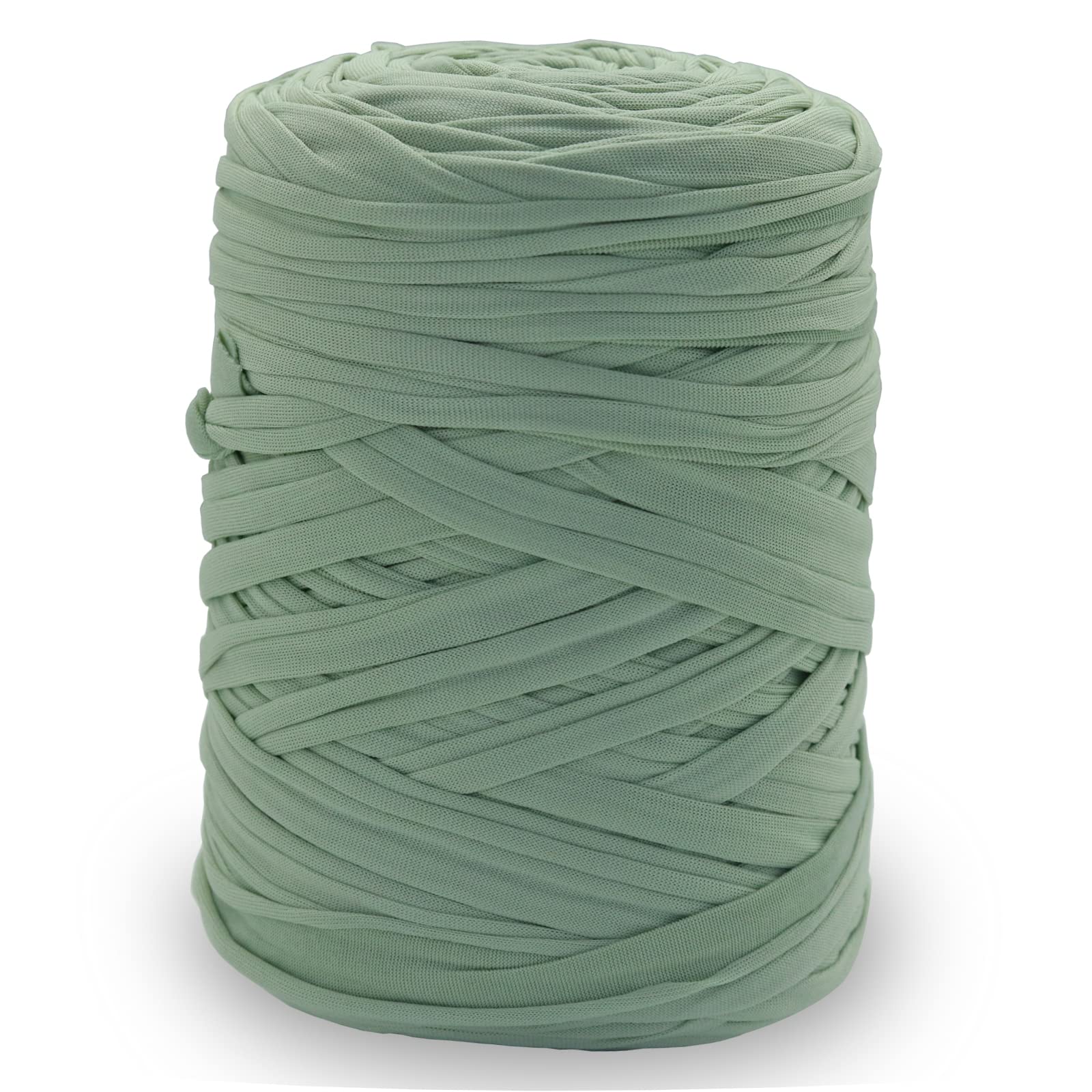 NOTIONSLAND 400g T-Shirt Yarn Knitting Yarn Fabric Crochet Yarn for Bag Basket, Blanket Home Decor - Light Green Soild Color Yarns