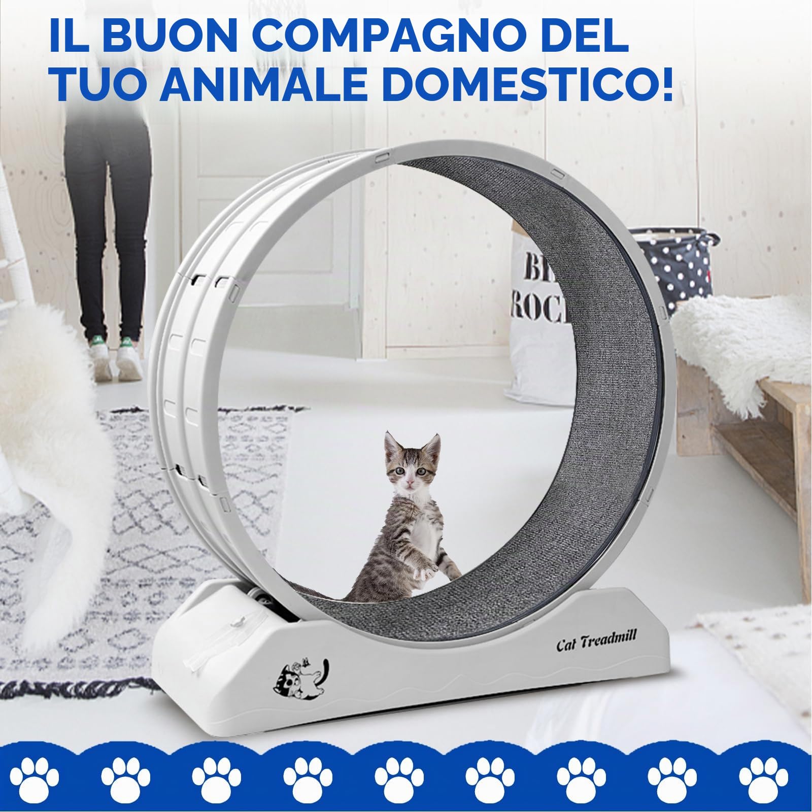 homegroove Ruota per esercizi per gatti, ruote per gatti da 31,5 pollici, per gatti interni, con pista in moquette, ruota da corsa per gatti per esercizi quotidiani e perdita di peso, ruota in