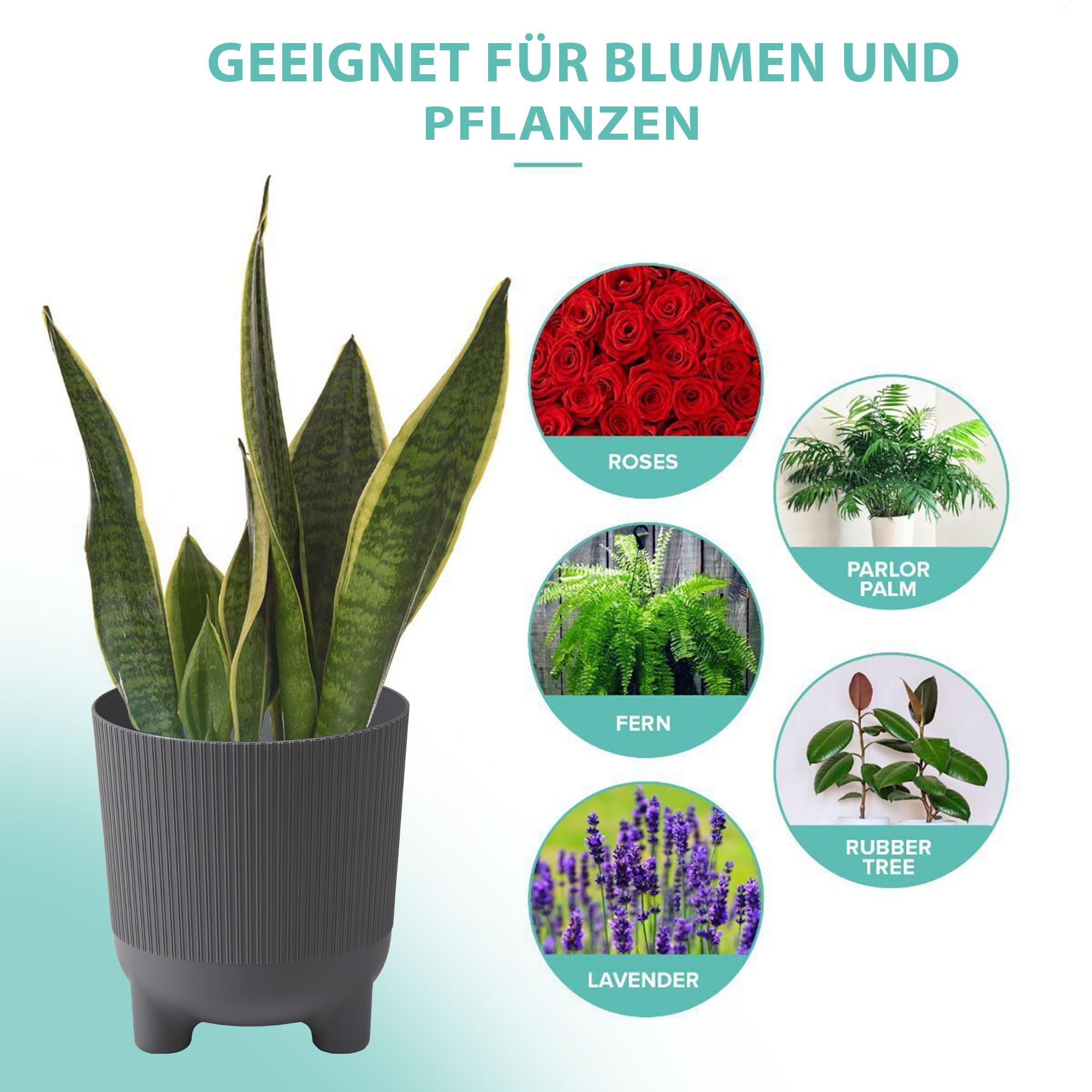 PECZEKO Lot 2 Pots De Fleurs Mats Avec Pieds Anthracite – Ø 13 Cm, Design Moderne Indoor & Outdoor