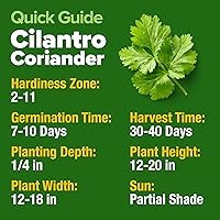 Vista 5 de HOME GROWN Más de 1000 semillas de cilantro para plantar en interiores o exteriores, hierbas tradicionales sin OMG, semillas de plantas de cilantro