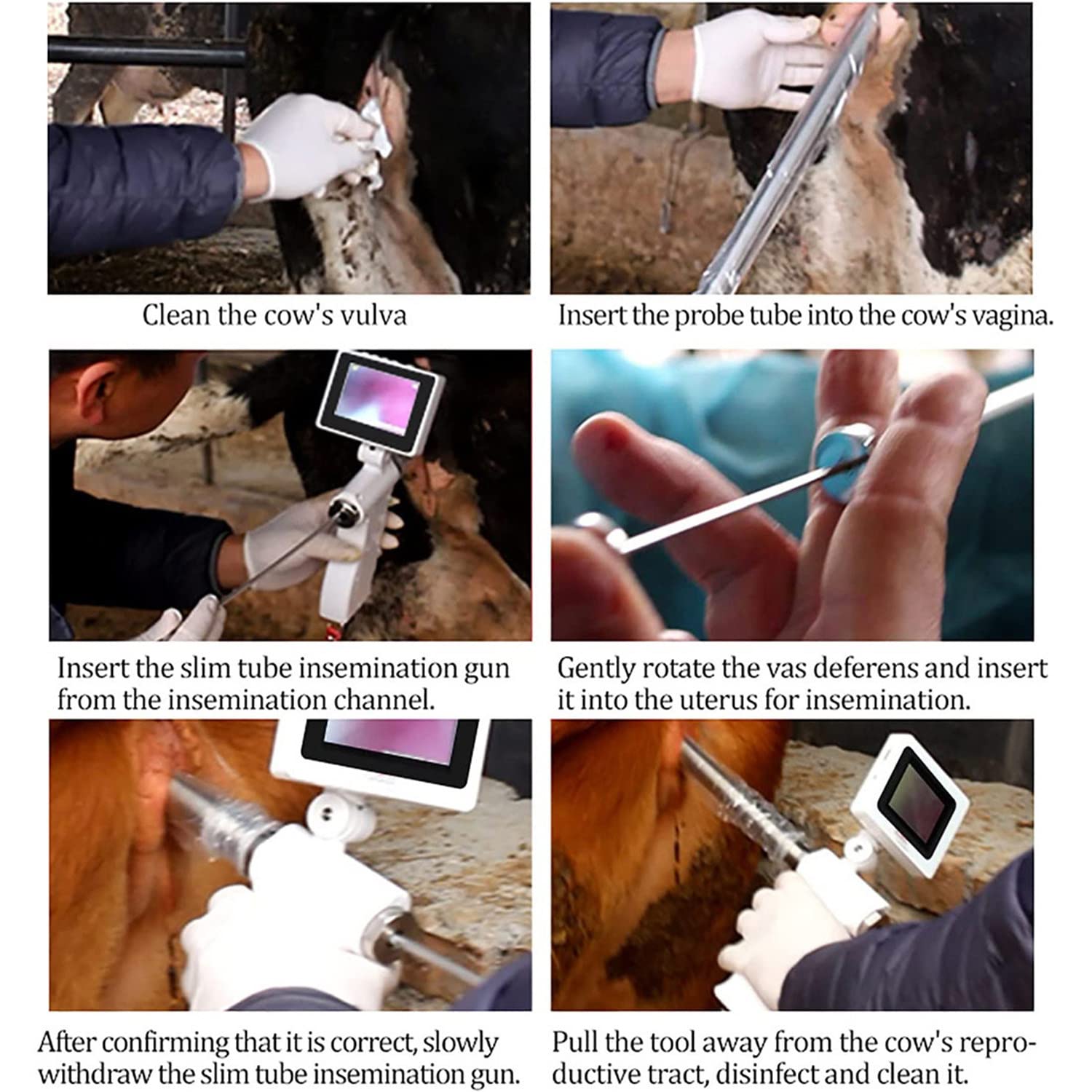 AALGO Künstliche Befruchtungspistole für Kühe Rind,Visuelle Besamungspistole,Professionelle Veterinärbesamungs-Landwirtschaftswerkzeuge,für Farm & Ranch