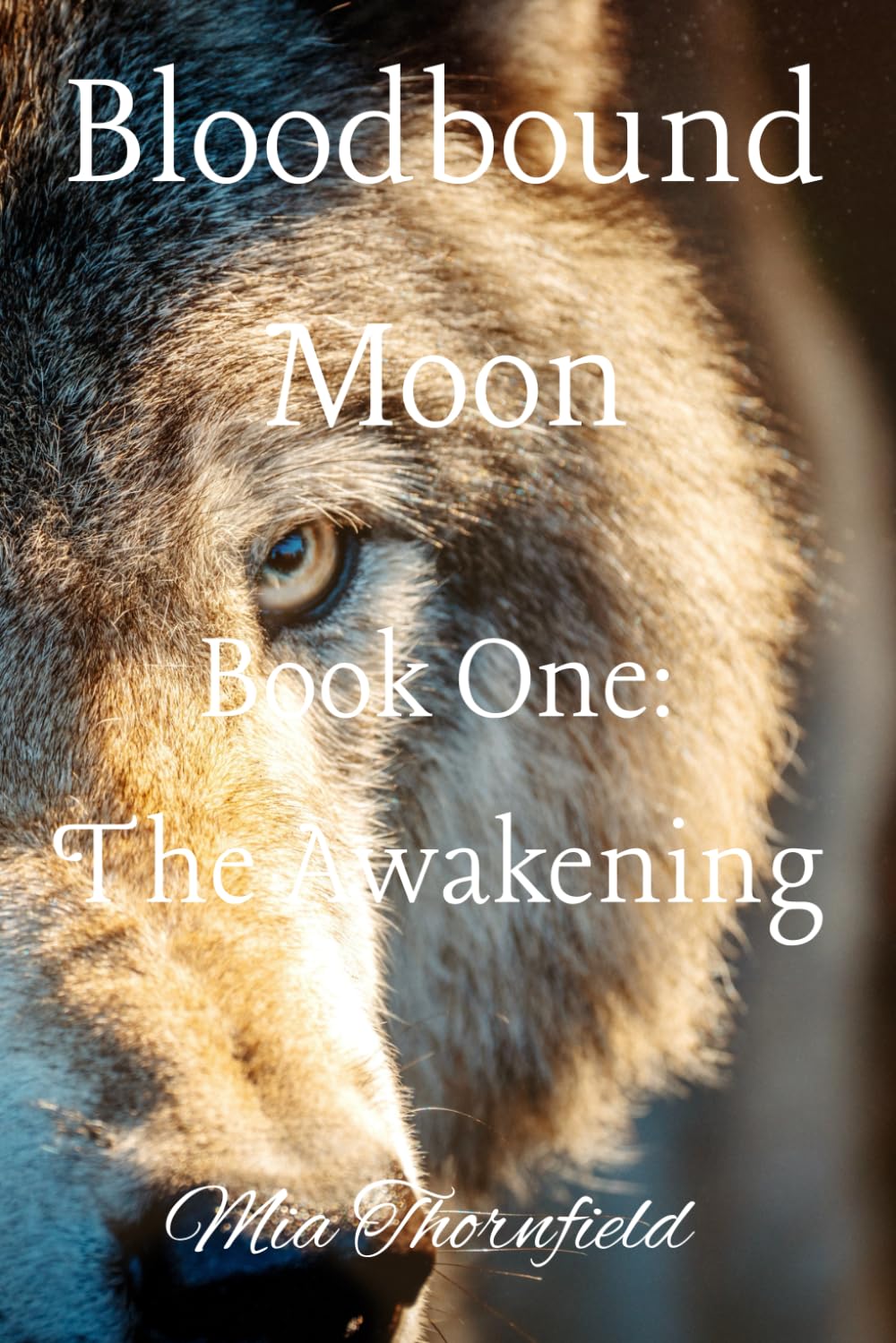 Bloodbound Moon: The Awakening (Book 1): A Dark Werewolf Paranormal Romance