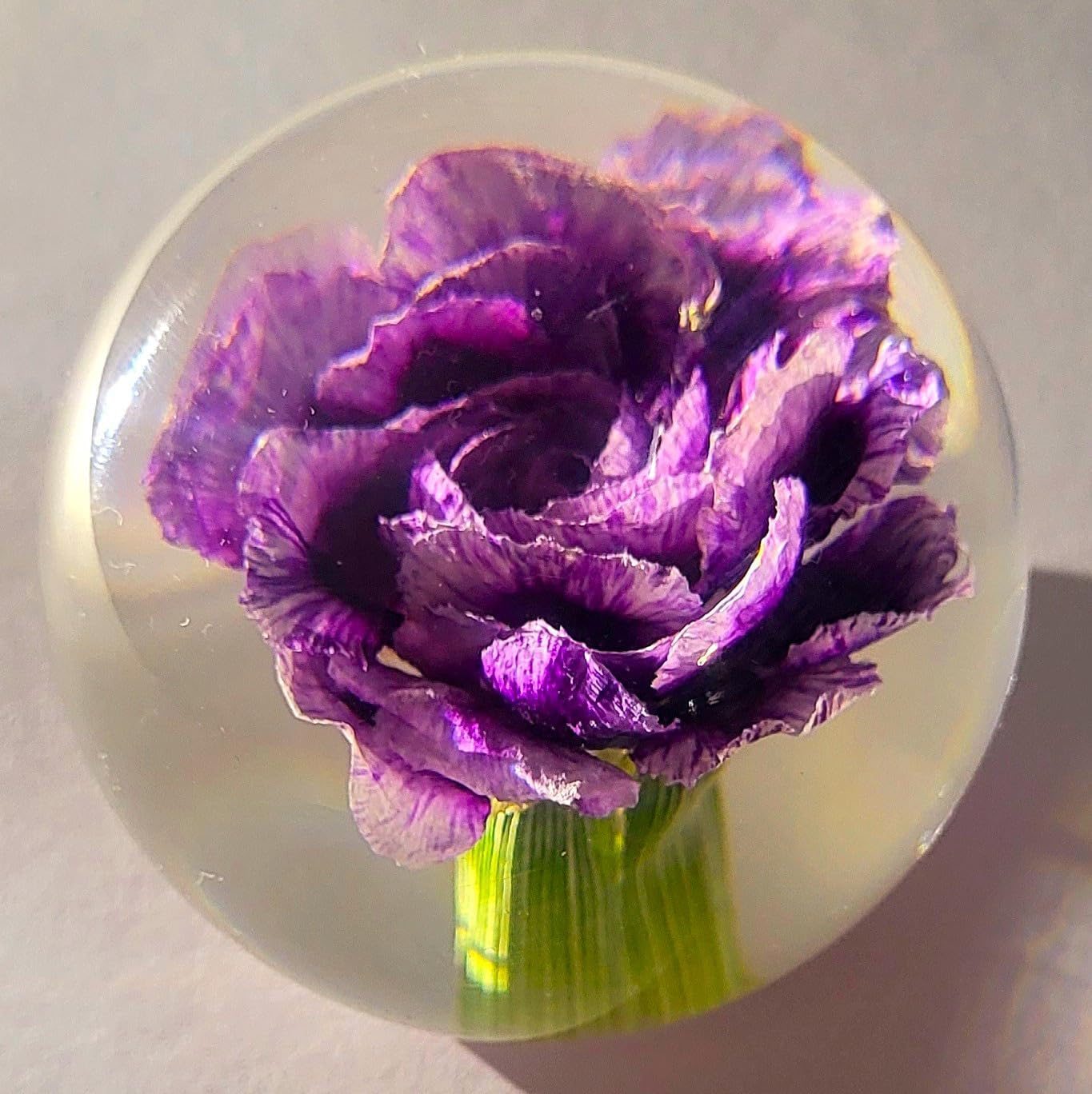 HQRP-Crystal 60mm Real Purple Carnation in Clear Lucite Resin Ball Anniversary Wedding Engagement Valentine January Birth Month Flower Display Decor Collection Herb Paperweight Keepsake