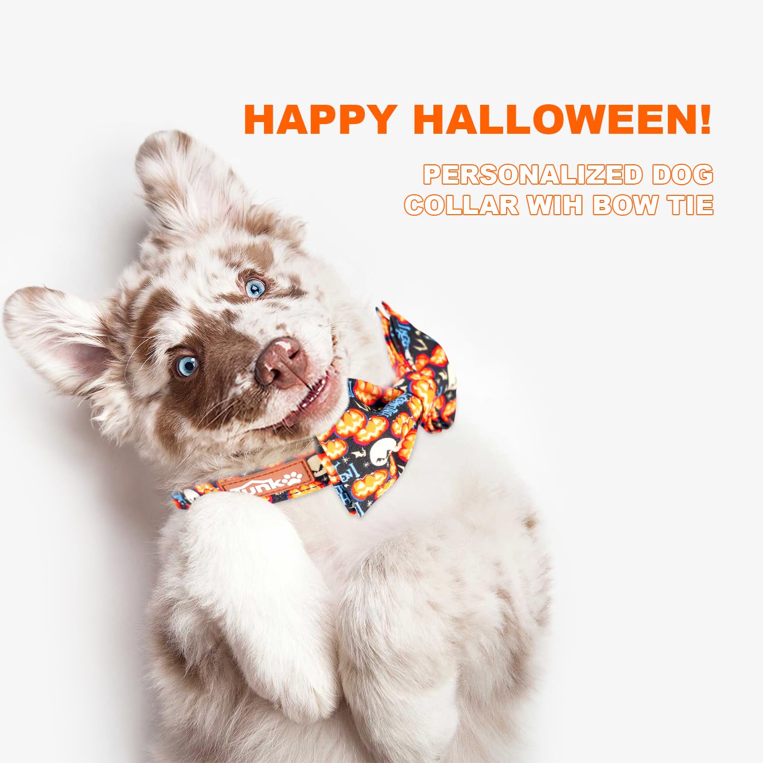 Tunkoo Happy Halloween obroża dla psa z dynią - trwała, regulowana i stylowa obroża dla zwierząt dostępna w rozmiarach S, M, L