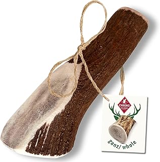 ChronoBalance® XXL Chew Bar for Dogs Whole Pieces as Chew Toy: 100% Deer Antlers for Dogs, Dog Toy, Treat Dental Care, Chew Snack, Antlers Chew Bone, Natural without Additives (Set of 1) product image