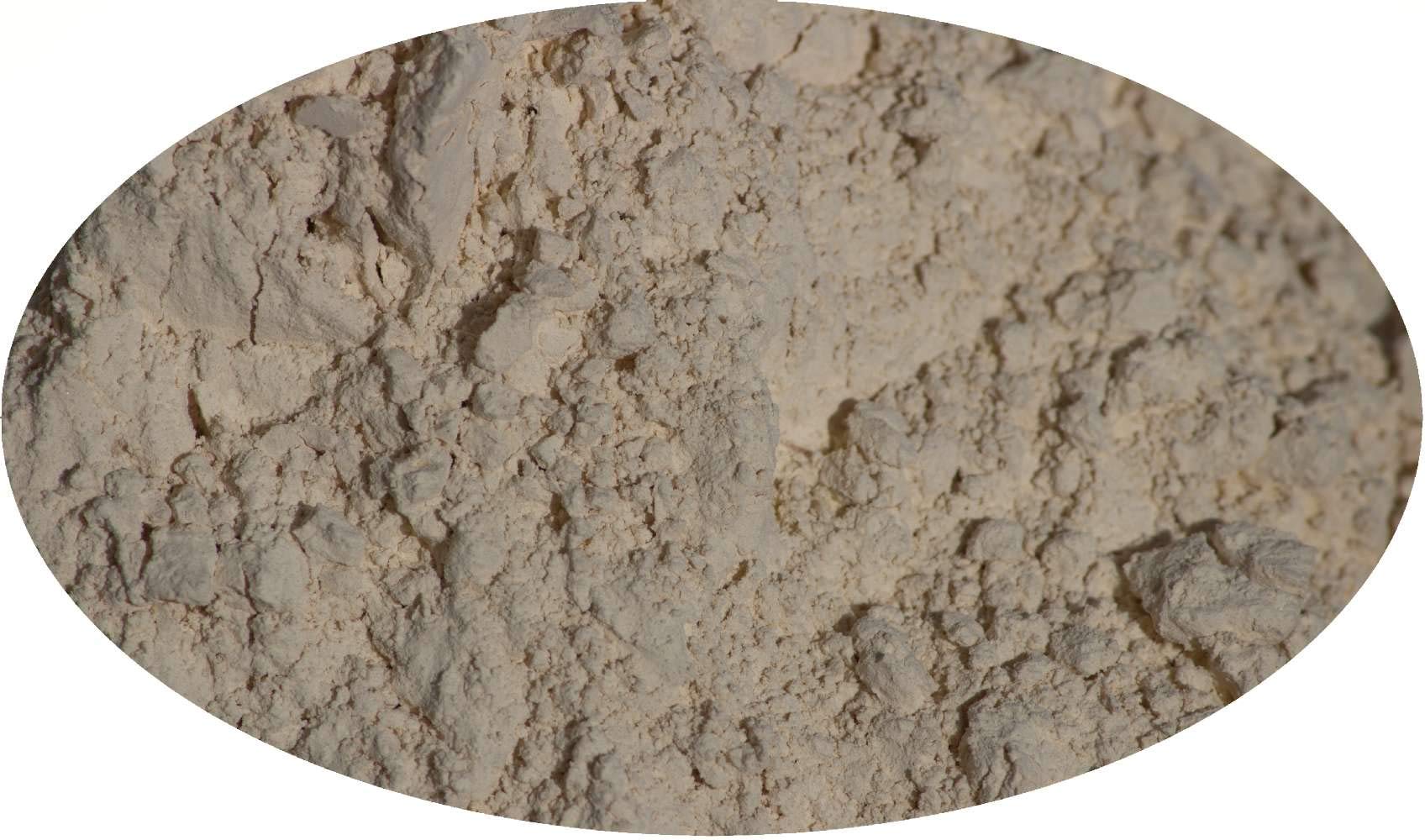 Eder Gewürze - Knoblauchpulver - 5kg