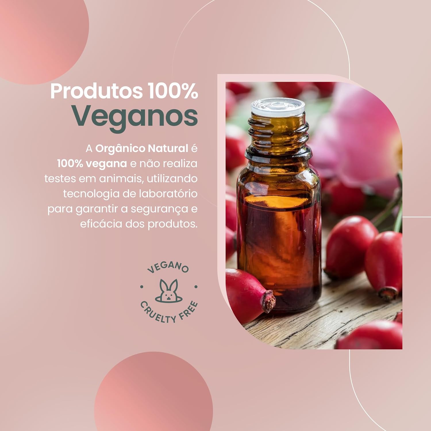 NATURAL Sabonete com Argila Branca e Óleo de Rosa Mosqueta – Base Vegetal – Hidratação – Antioxidante e Calmante – Uniformiza o Tom da Pele – Vegano – 80g em promoção! Veja a oferta e mais achadinhos de Natural, Vegano & Clean Beauty 5 Hoje é o melhor dia para comprar NATURAL Sabonete com Argila Branca e Óleo de Rosa Mosqueta – Base Vegetal – Hidratação – Antioxidante e Calmante – Uniformiza o Tom da Pele – Vegano – 80g com aquele preço maroto! Promoção! Aproveite a oferta! 5