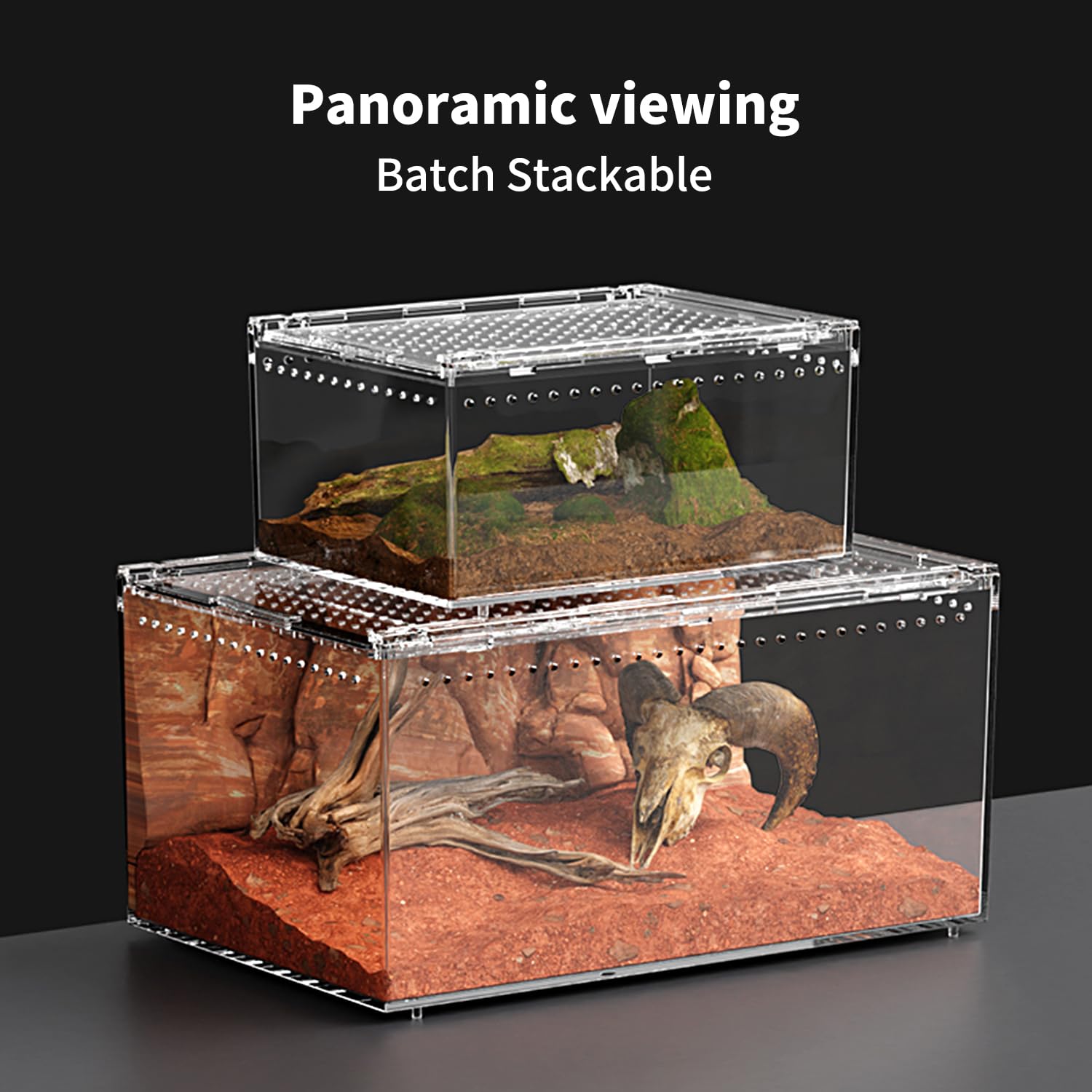 Terrario per rettili PC 30,5 x 20,3 x 15,2 cm, recinzione per tarantola, kit di avviamento per serbatoio di ragno, habitat di granchi eremiti, recinzione lucertola, custodia per insetti, gabbia per