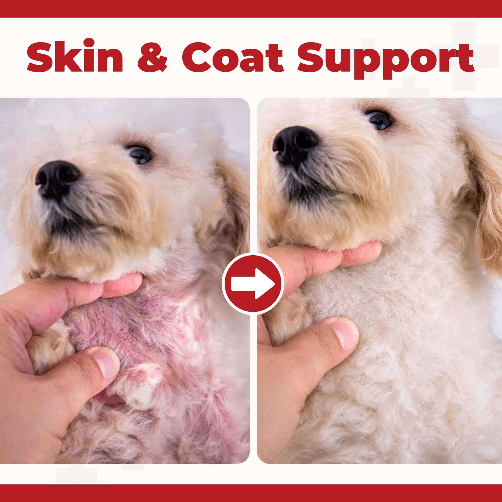 Ringworm Treatment for Dogs, Skin & Coat Support Supplement with Lysine, Natural Formula for Mange Support, Helps Maintain Healthy Skin, Hair Loss, Scabbing, Redness & Coat Care, Powder, 4.23 oz — Amazon image 4