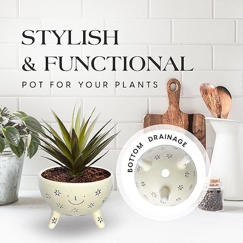 Miniatura 4 de Facepot - Maceta de cerámica con cara sonriente, suculenta y maceta para el hogar y la oficina, bonito jarrón para jardinería interior, 5.63