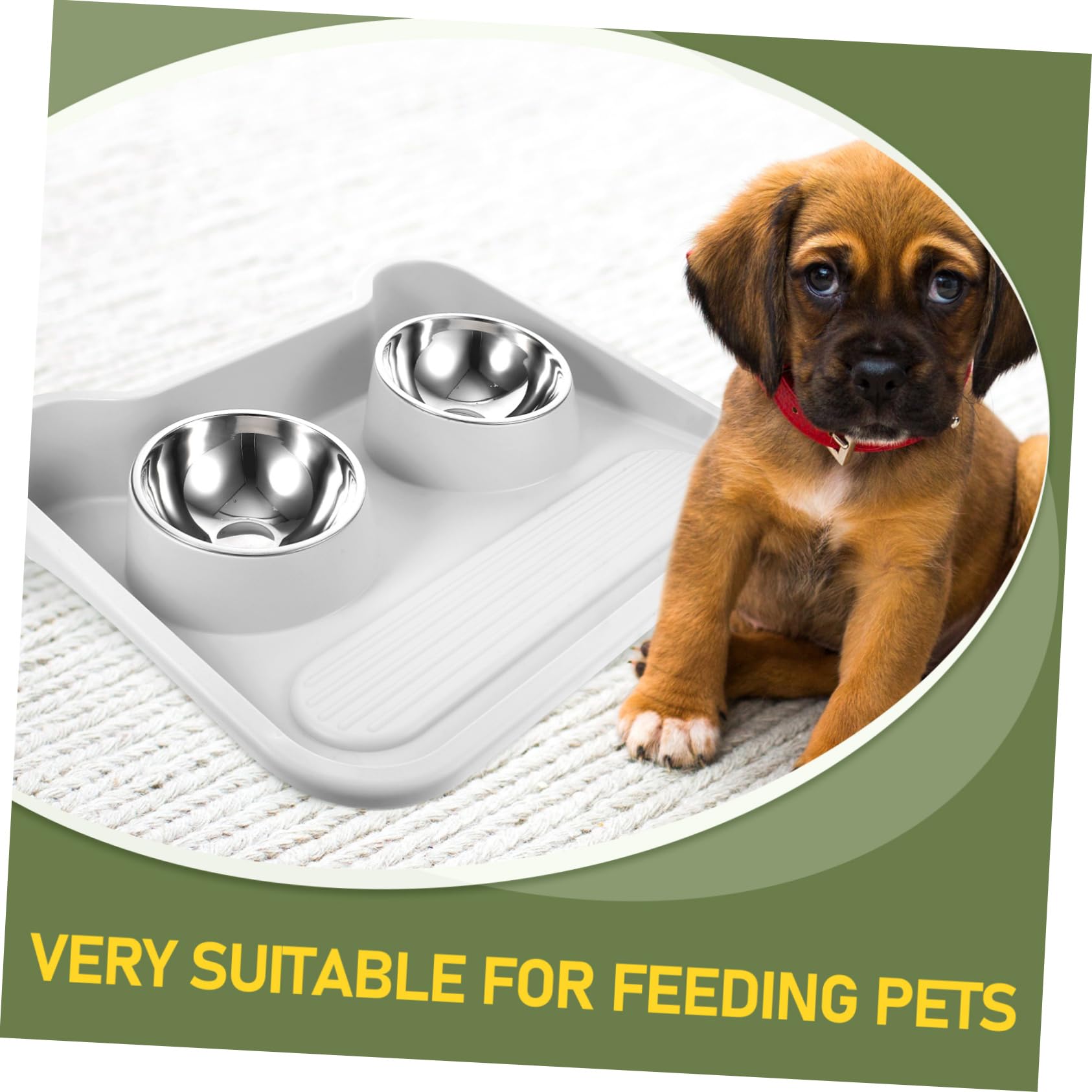 Gamelle Double en Acier Inoxydable et PP pour Chien et Chat | Bavures, Protection du Cou, Bol Stable Anti-basculement, Récipient pour Aliments pour Animaux
