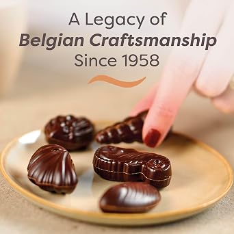 Guylian Belgian Dark Chocolate Gift Box, 20 pc Praline Seashells, 7.94 oz
