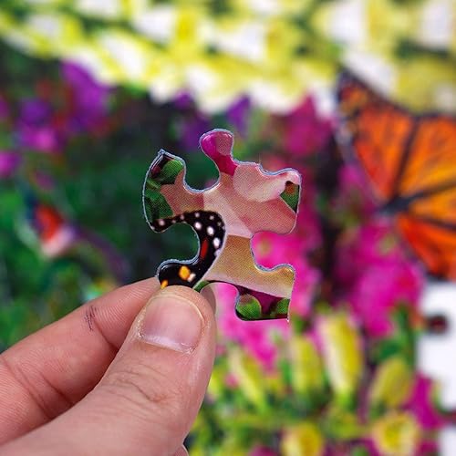 Miniatura 7 de Springbok Stairway to Serenity - Rompecabezas de 500 piezas para adultos por Arist Alan Giana - Colorful Garden by The Ocean - Tamaño acabado 23.5 x