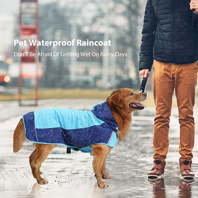 Foto 6 de 6 de PETCUTE Impermeable para Perros con Capucha y Collar Agujero,Ultra-Light Chaqueta de Lluvia para Perros…