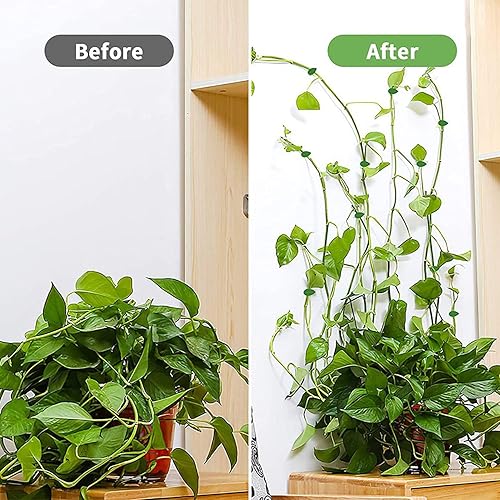 Miniatura 4 de Clips de pared para escalada de plantas, 100 ganchos autoadhesivos para fijadores de plantas, soporte de plantas de jardín y verduras, clip de