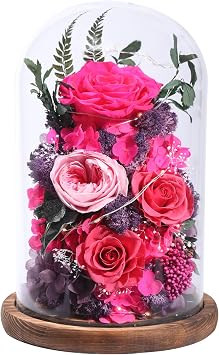 lovenfold Flowers for Delivery Preserved Flowers Rose in Glass Dome,Reddish Rose Forever Flowers Birthday Gifts for Women Mom Grandma Friend Gifts for Her,Home Decor