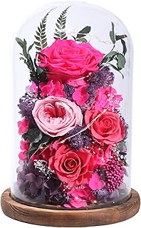 Flowers for Delivery Preserved Flowers Rose in Glass Dome,Reddish Rose F...