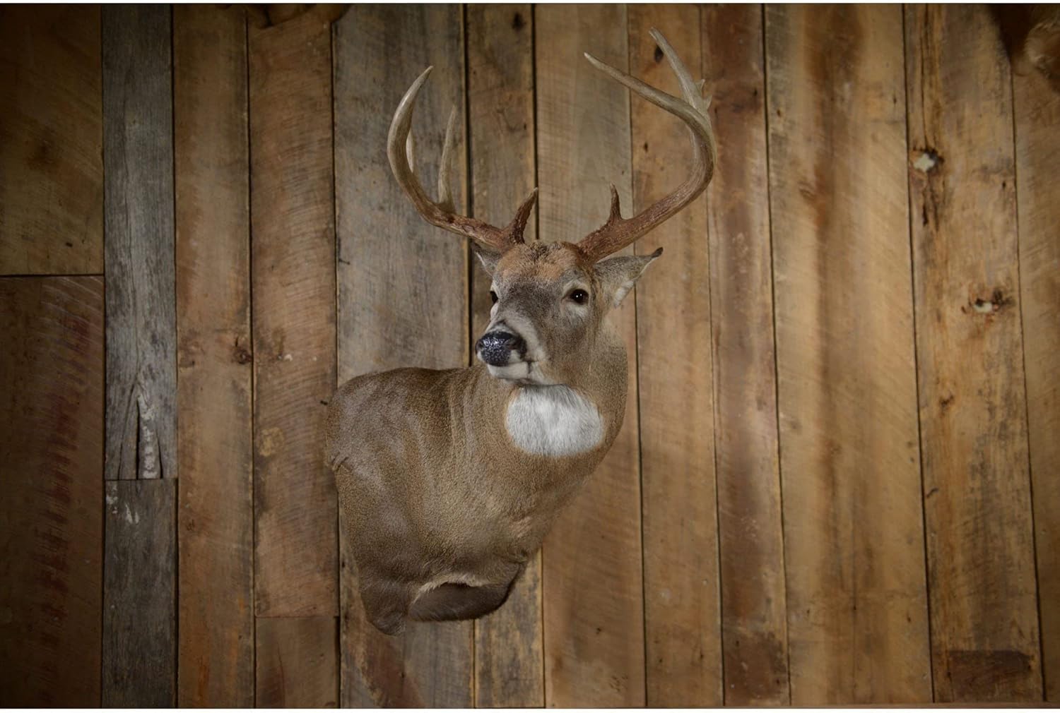 Skull Hooker Small/Medium Game Steel