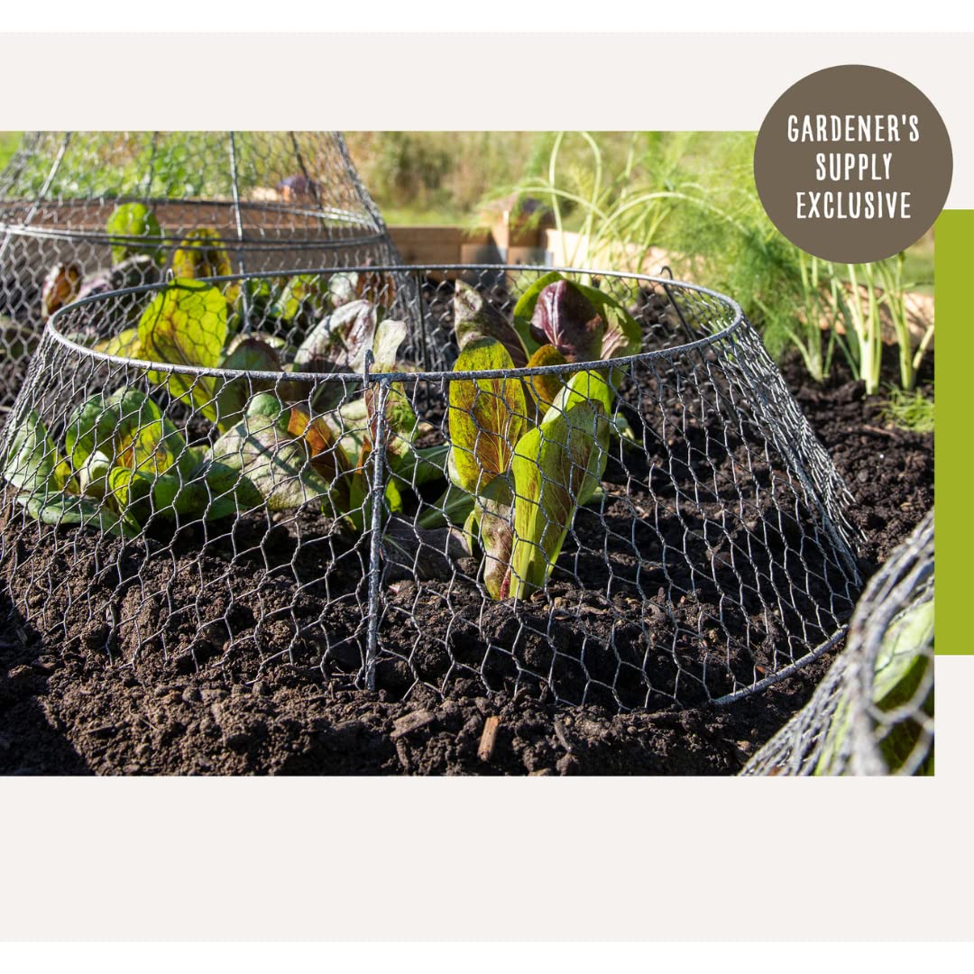 Protectores De Plantas De Animales Jaula De Plantas De 9 X 9 Pulgadas Para Proteger El Jardin De Verduras Al Aire Libre De Conejos Pollo Juego De