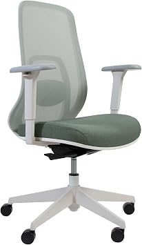 Vari Ascent Ergonomic Desk Chair for Home Office with Wheels, Breathable Mesh Back, Lumbar Support, Adjustable Seat Depth & Height, 20 Degree Tilt Function Easy Assembly Cloud White/Eucalyptus