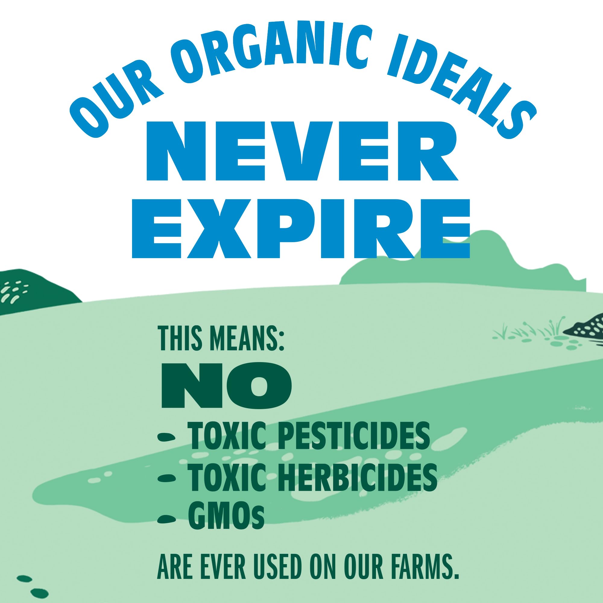 Organic Valley Organic Caramel Oat Creamer 32 Fz — view 5